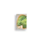 Atlas A7 - 120pgs Single Rule Notebook